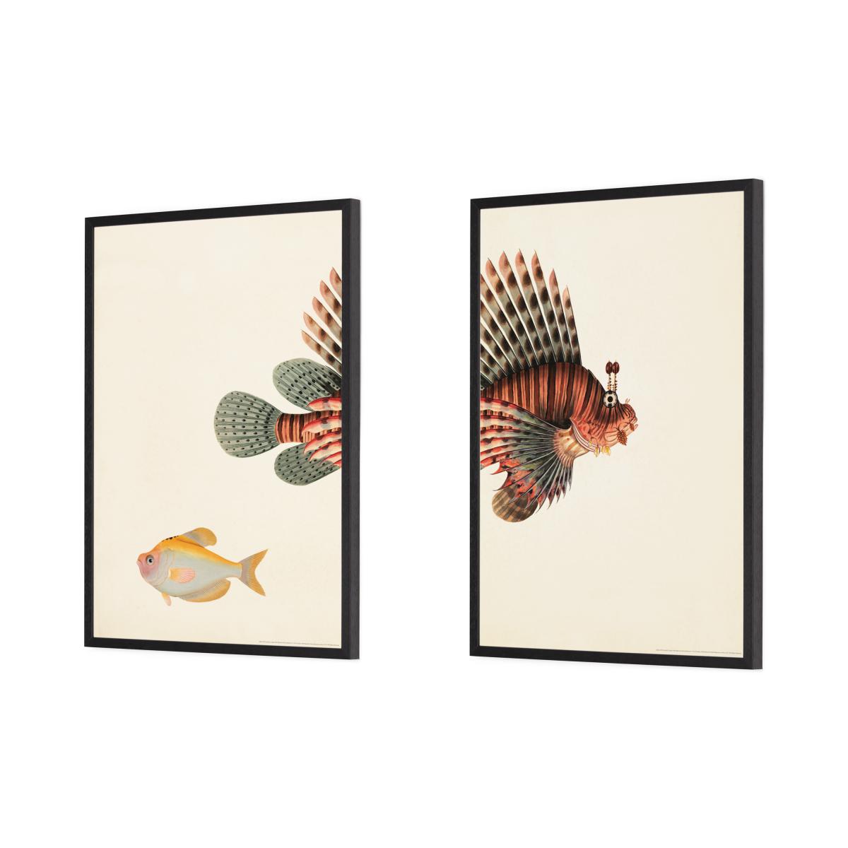 Natural History Museum Vintage Fish Set of 2 Framed Prints, A3 – image 9