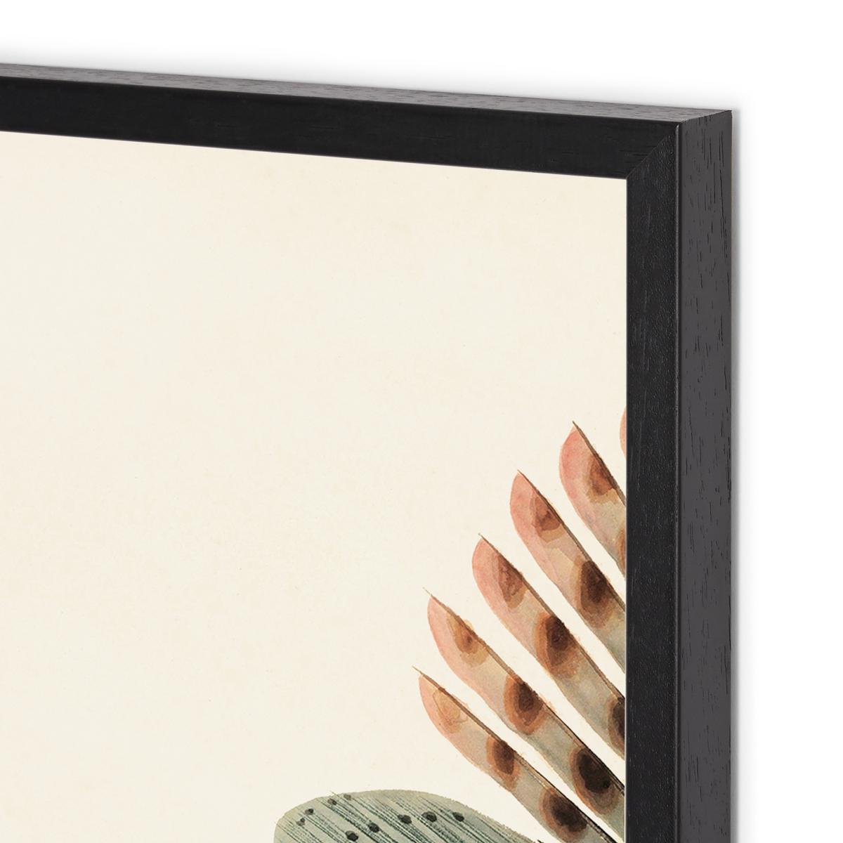 Natural History Museum Vintage Fish Set of 2 Framed Prints, A3 – image 10