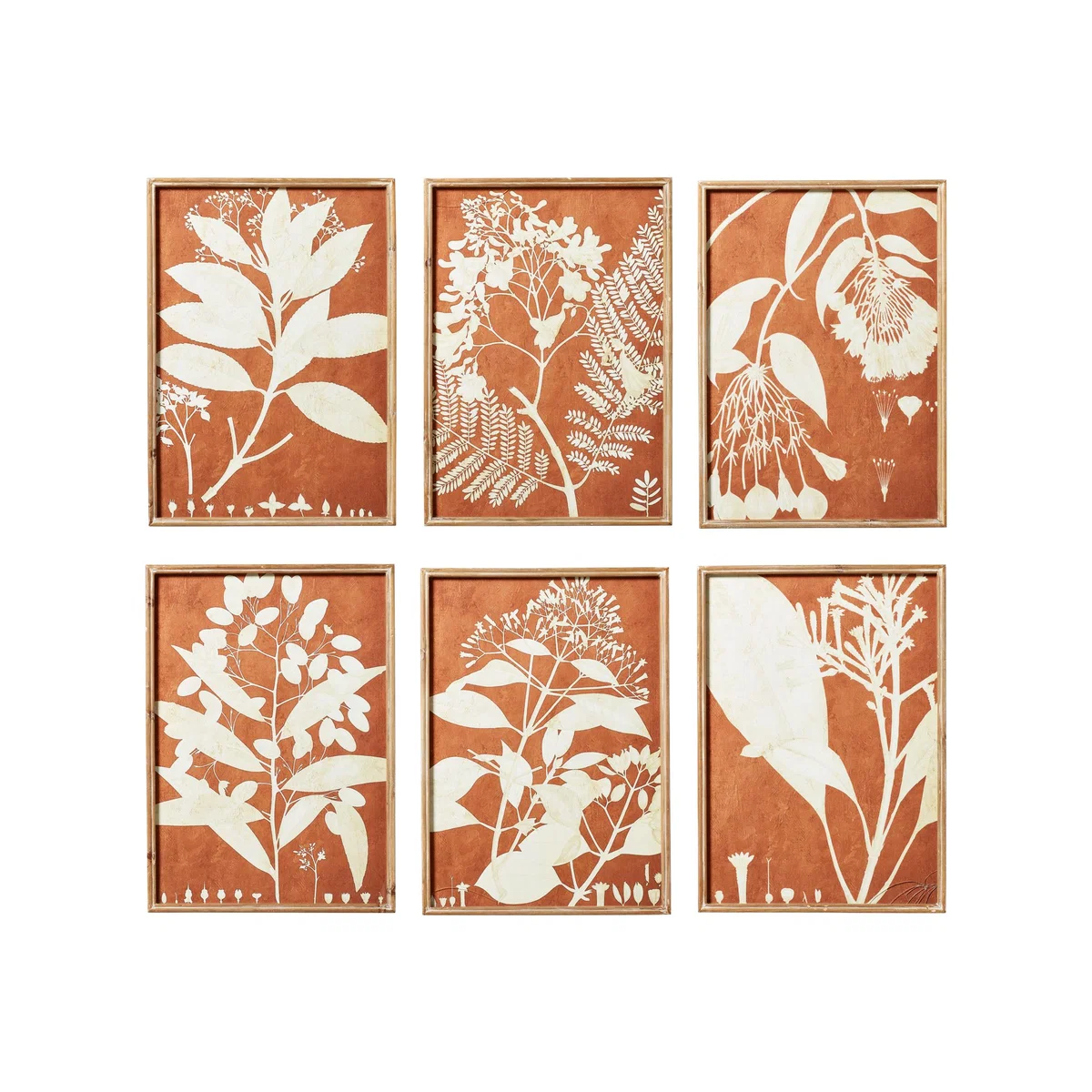 Set of Six Flora Photogram Framed Prints - Orange – image 1