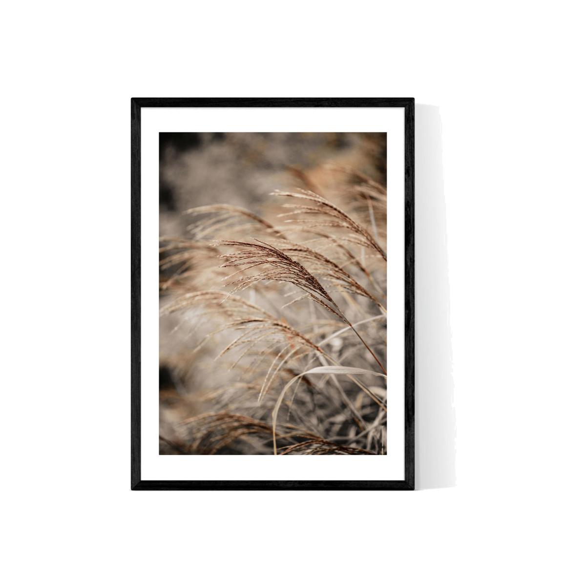 Grass XX by Mareike Boehmer - A1 Black Framed Art Print – image 1