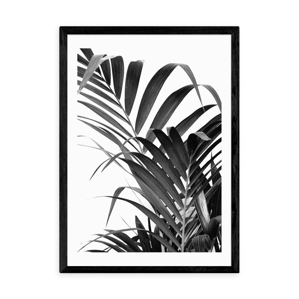 Palm Leaf 02 by Honeymoon Hotel - A2 Black Framed Art Print – image 2