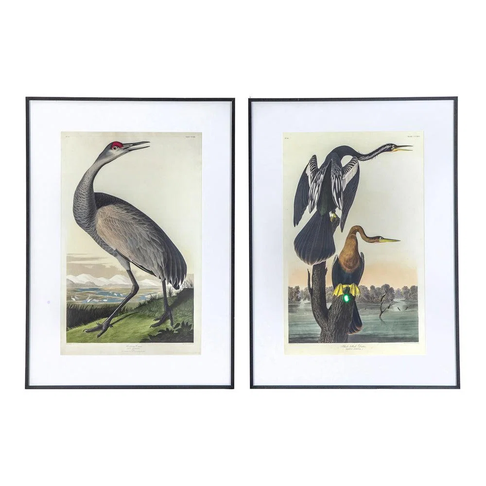 Gallery Interiors Set of 2 Lei Exotic Fowl Study Framed Wall Art Multicoloured – image 2