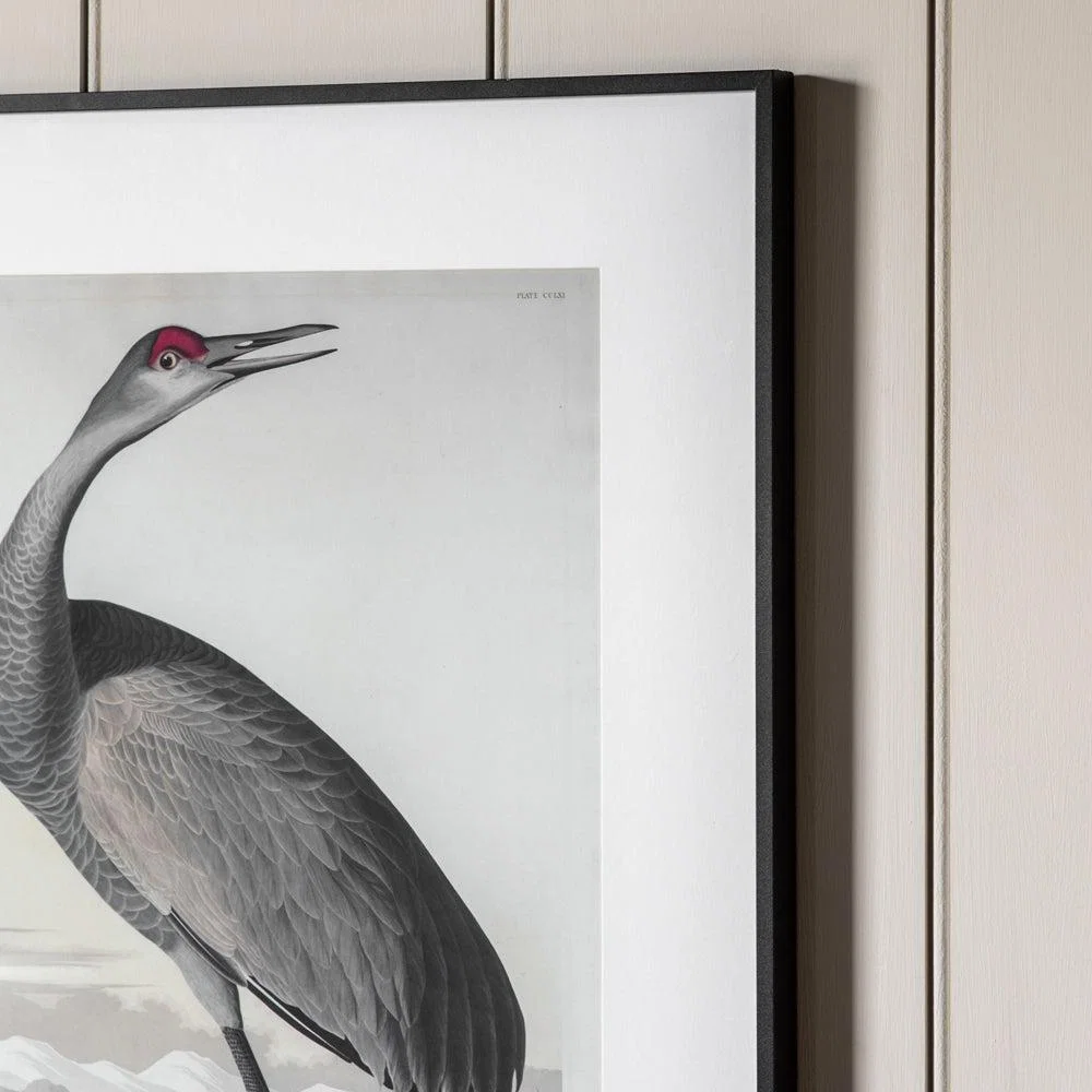 Gallery Interiors Set of 2 Lei Exotic Fowl Study Framed Wall Art Multicoloured – image 3
