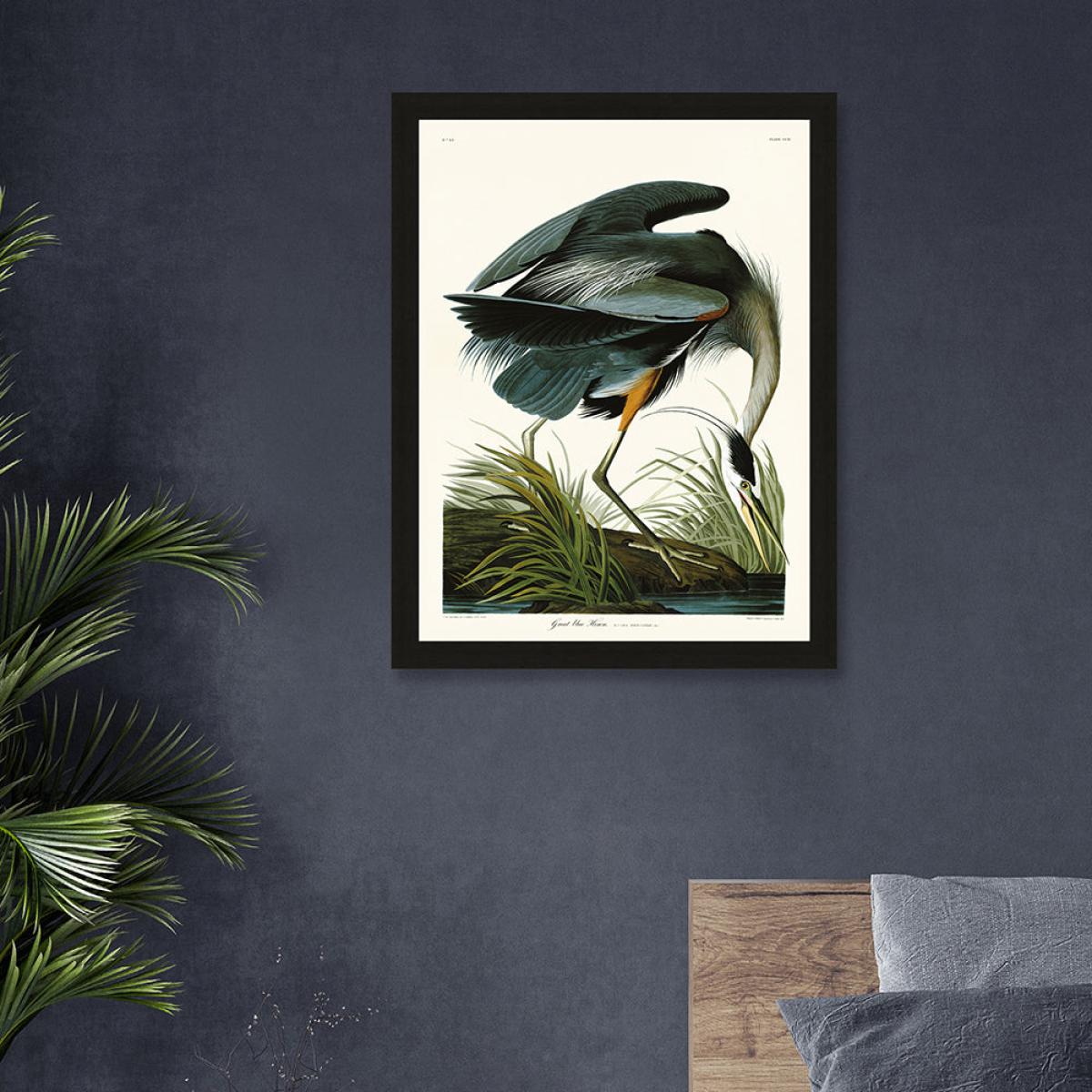 The Art Group John James Audubon (Great Blue Heron) Pre Framed- 60x80cm / 60x80cm – image 2