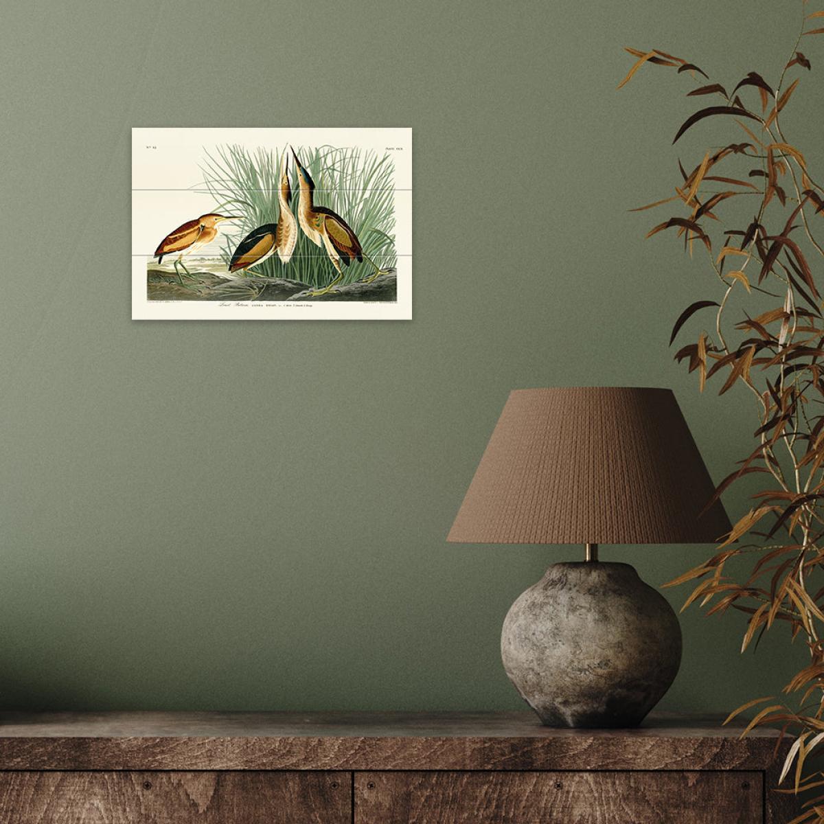 The Art Group John James Audubon (Least Bittern) Wood Print / Micro – image 2