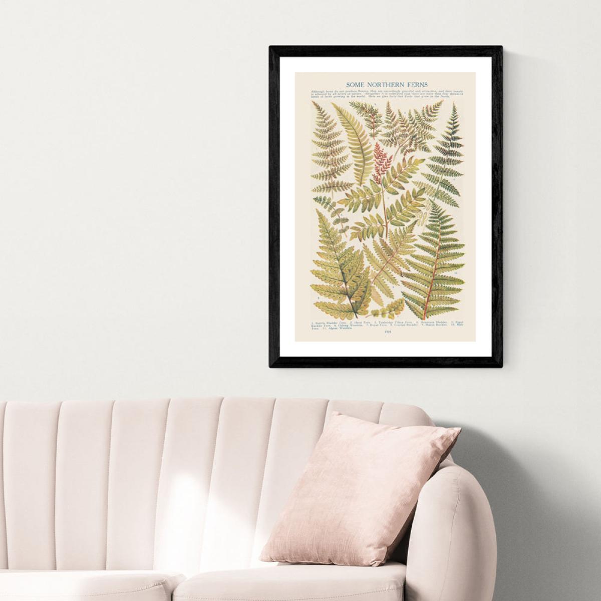 Some Nothern Ferns by Aster - A2 Black Framed Art Print – image 2