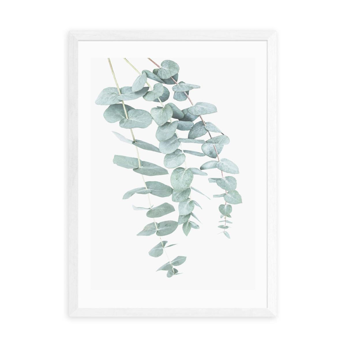 Eucalyptus 2 by Sisi & Seb - A3 White Framed Art Print – image 2