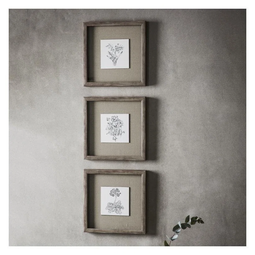 Gallery Direct Monochrome Botanical Framed Art Trio – image 1
