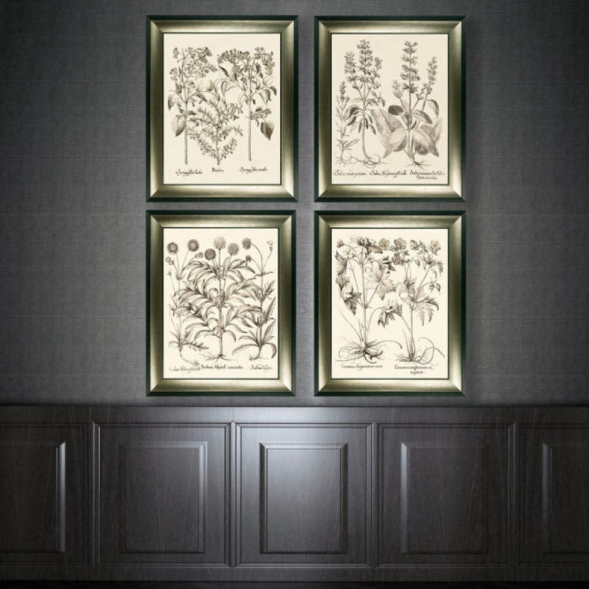 Olivia's 'Sepia Botanials III' - Framed & Glazed Print - 89x72.5cm – image 2