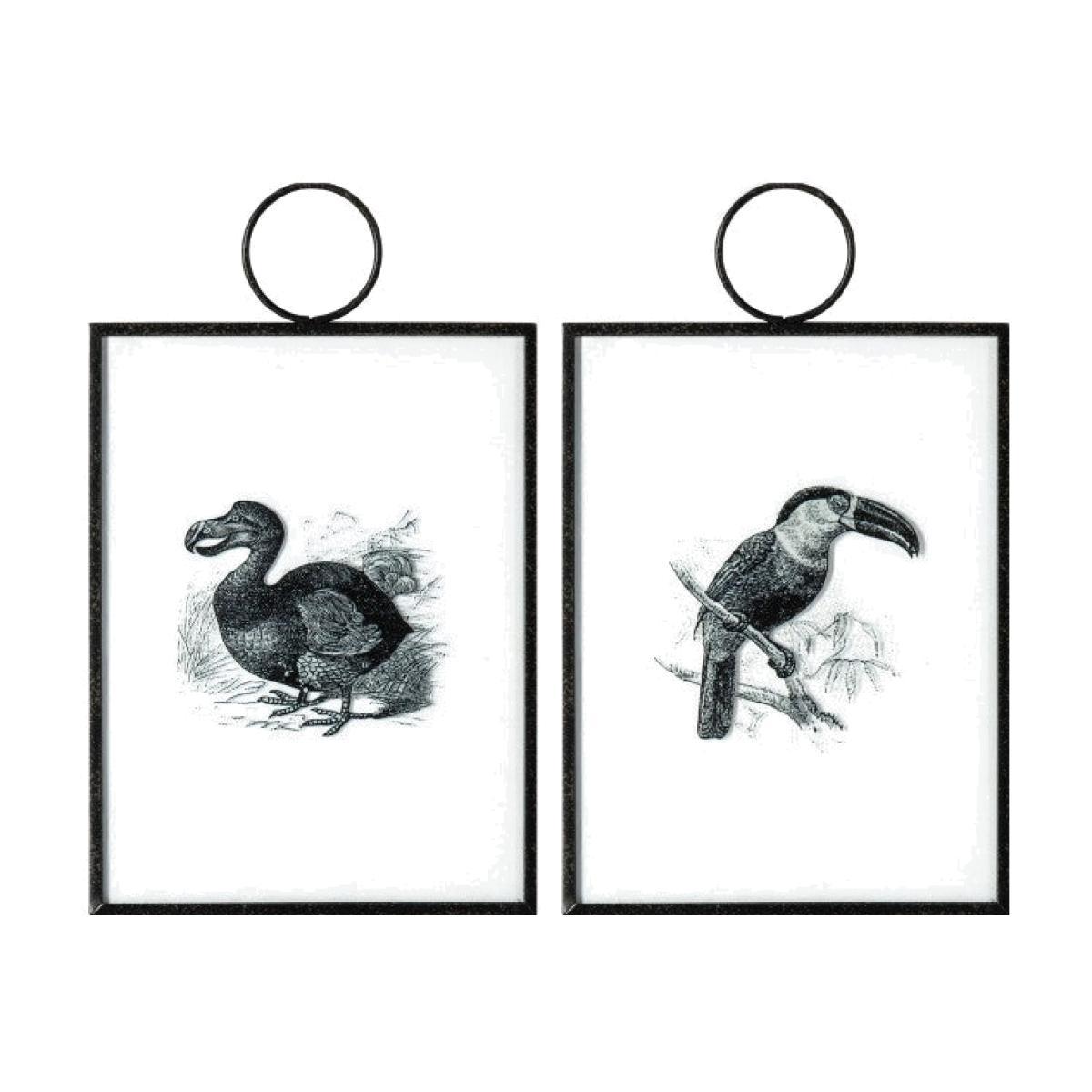 Gallery Direct Exotic Birds Hanging Art Set Of 2 Wall Art