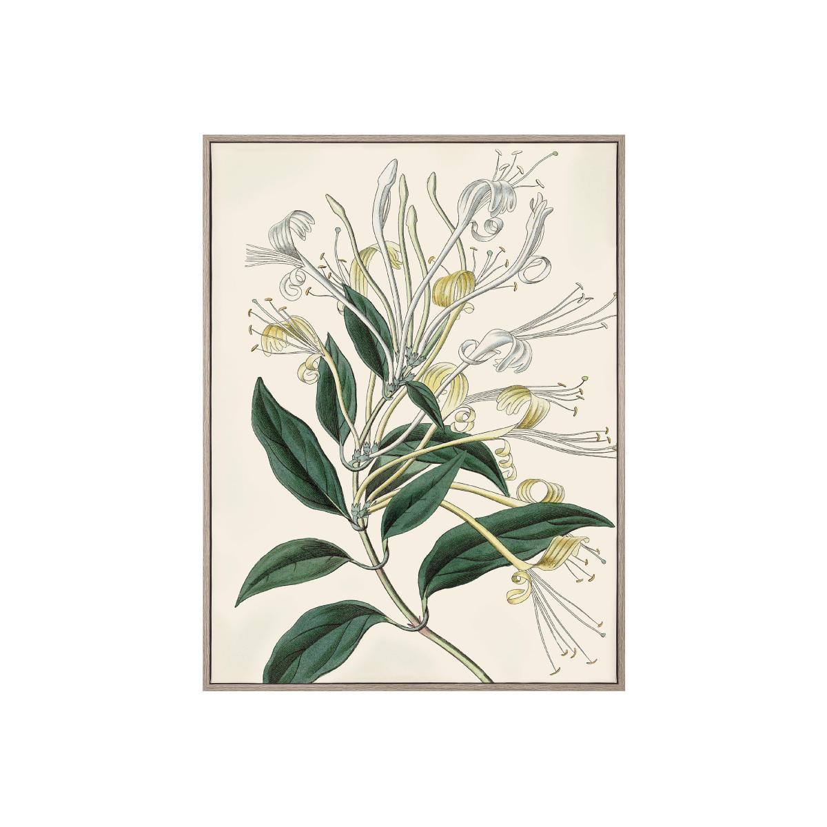 Gallery Interiors 'Flourishing Foliage' Framed Wall Art - 62.5 x 82.5cm – image 1