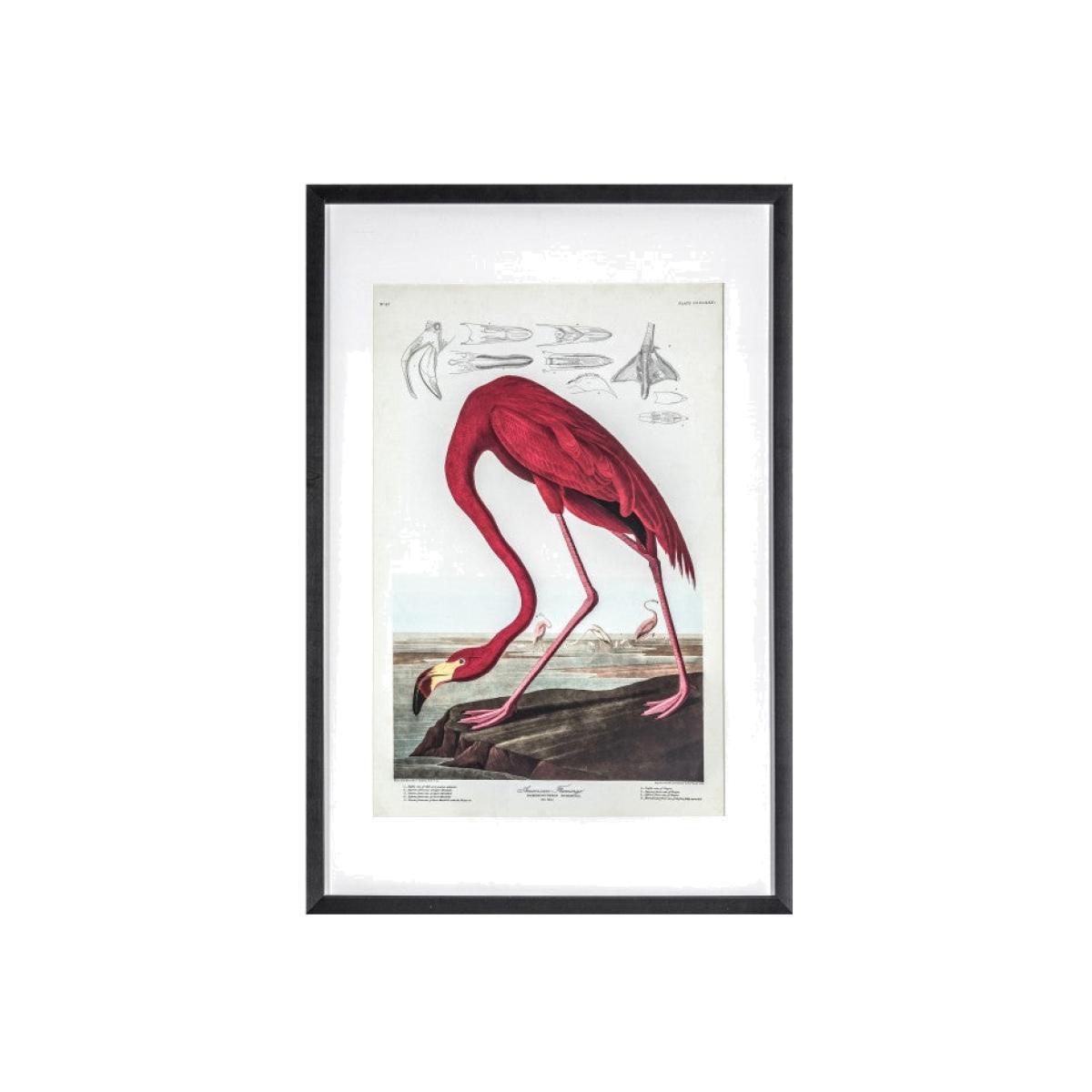 Gallery Direct Curious Flamingo Framed Wall Art