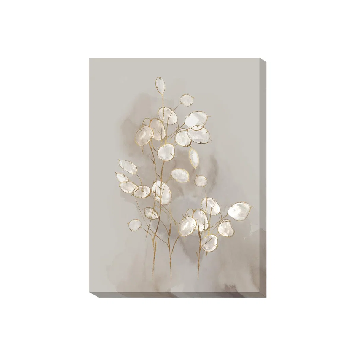 Olivia's 'Transparent II' - Wrapped Canvas - 47x35cm
