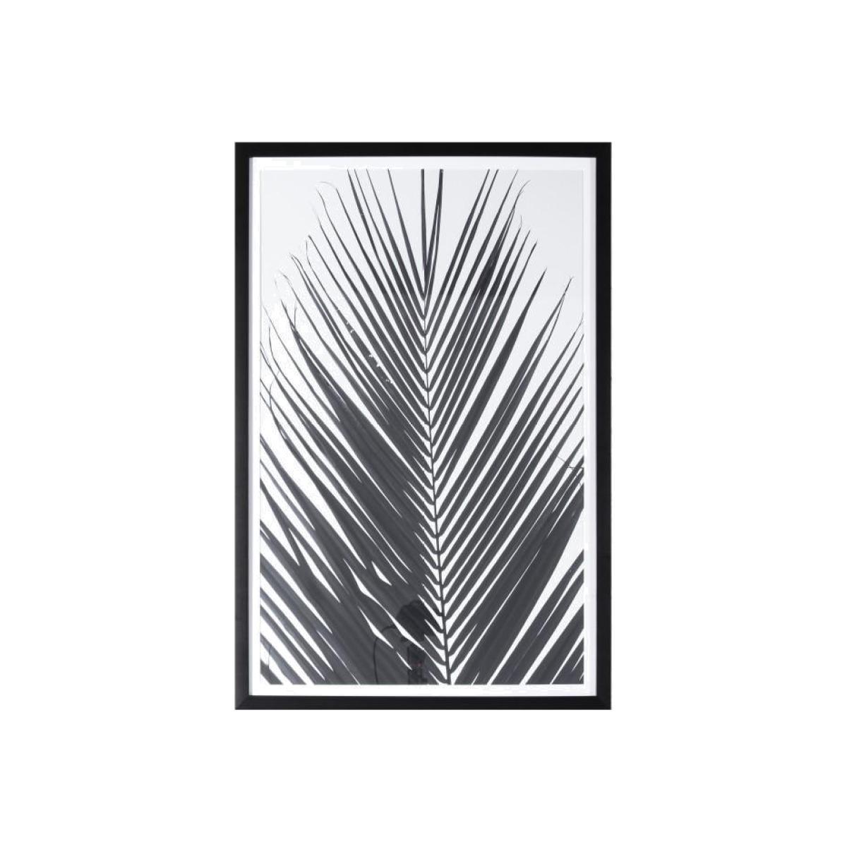 Gallery Direct Monochrome Palm Framed Wall Art | Outlet