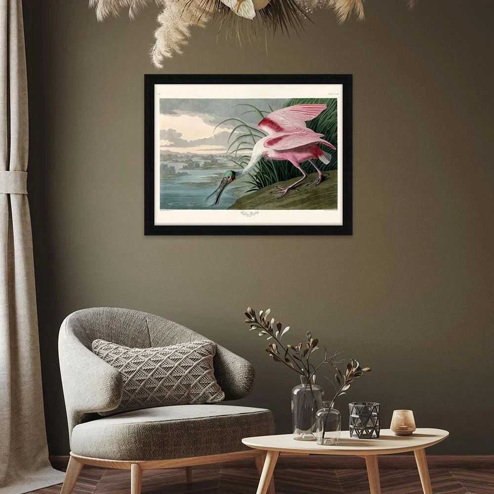 The Art Group John James Audubon (Roseate Spoonbill) Pre Framed- 60x80cm – image 2