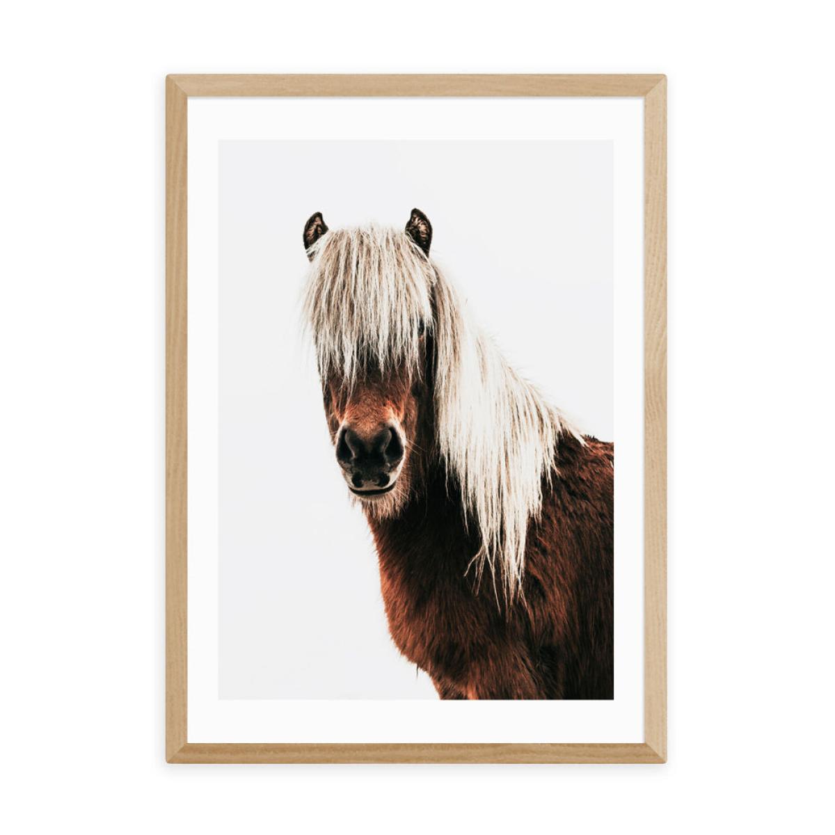 Horse by Rafael Farias - A3 Oak Framed Art Print – image 2