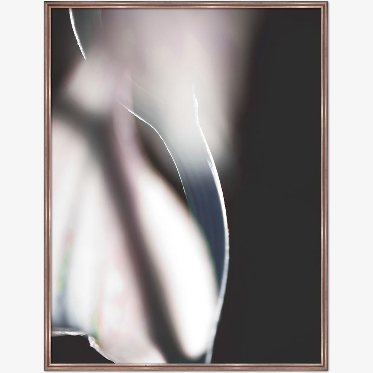 Quintessa Art Buron Under Glass Print / 120 x 100 cm