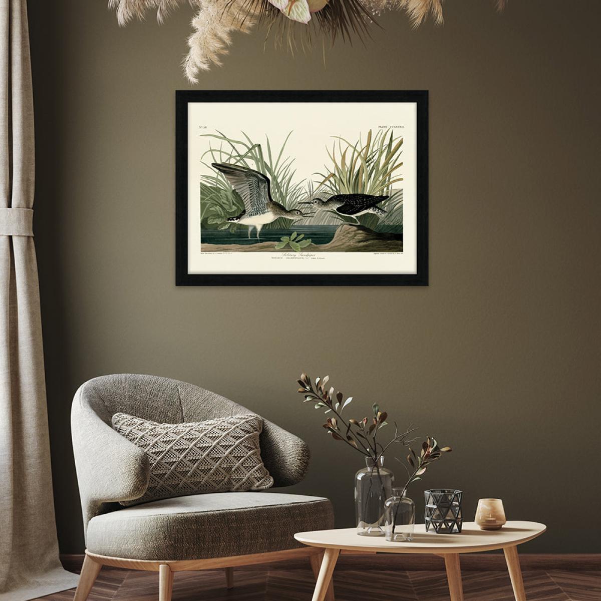 The Art Group John James Audubon (Solitary Sandpiper) Pre Framed- 60x80cm – image 2