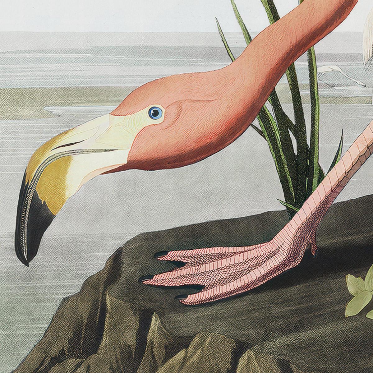 Classic Flamingo Framed Art – image 4