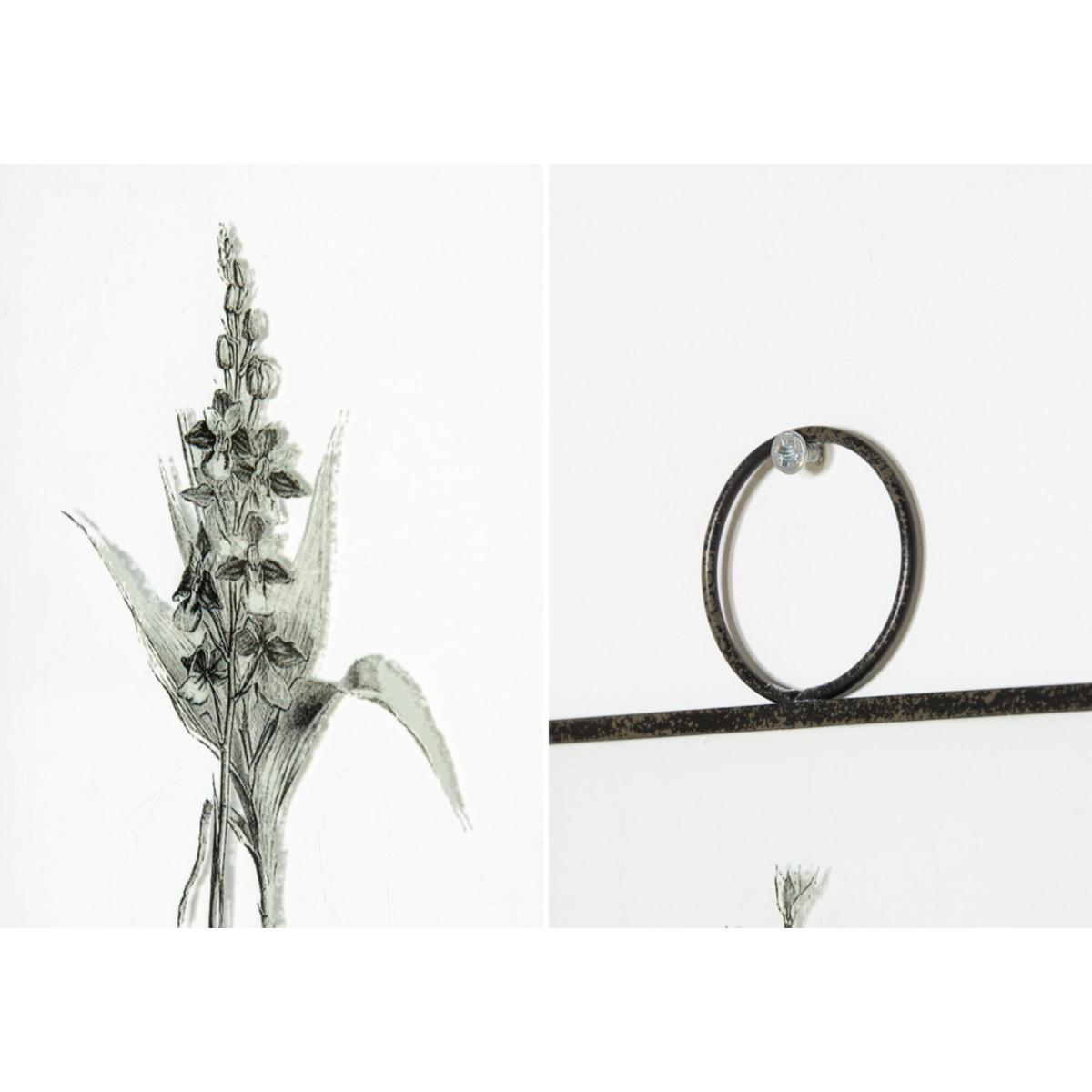 Leonardslee Botanical Study II, Set of Two – image 4
