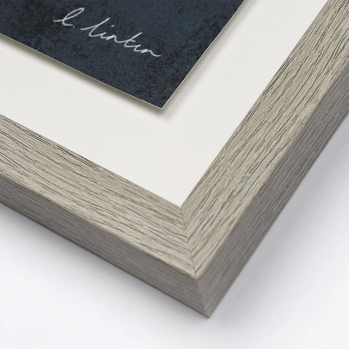 Songbird Framed Wall Art – image 3