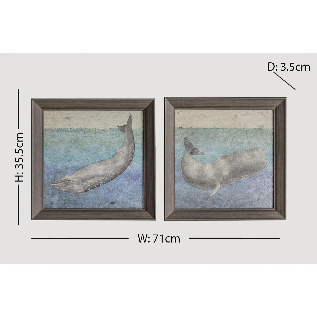 Whale Watching Framed Wall Art, Set of Two – image 4