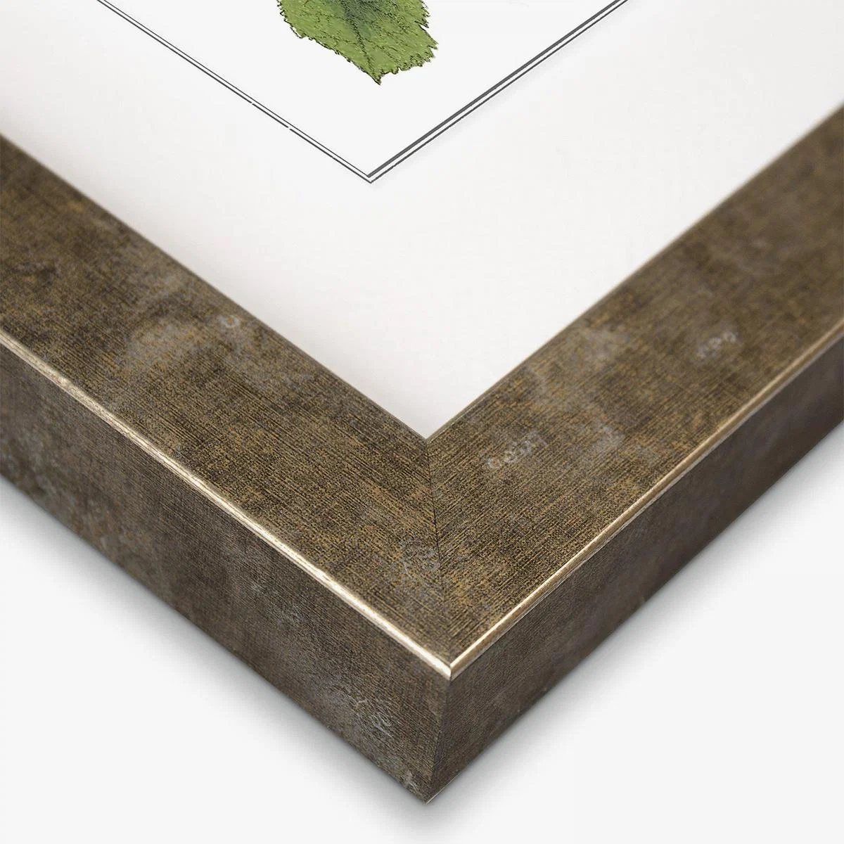 Foliage Framed Wall Art – image 3