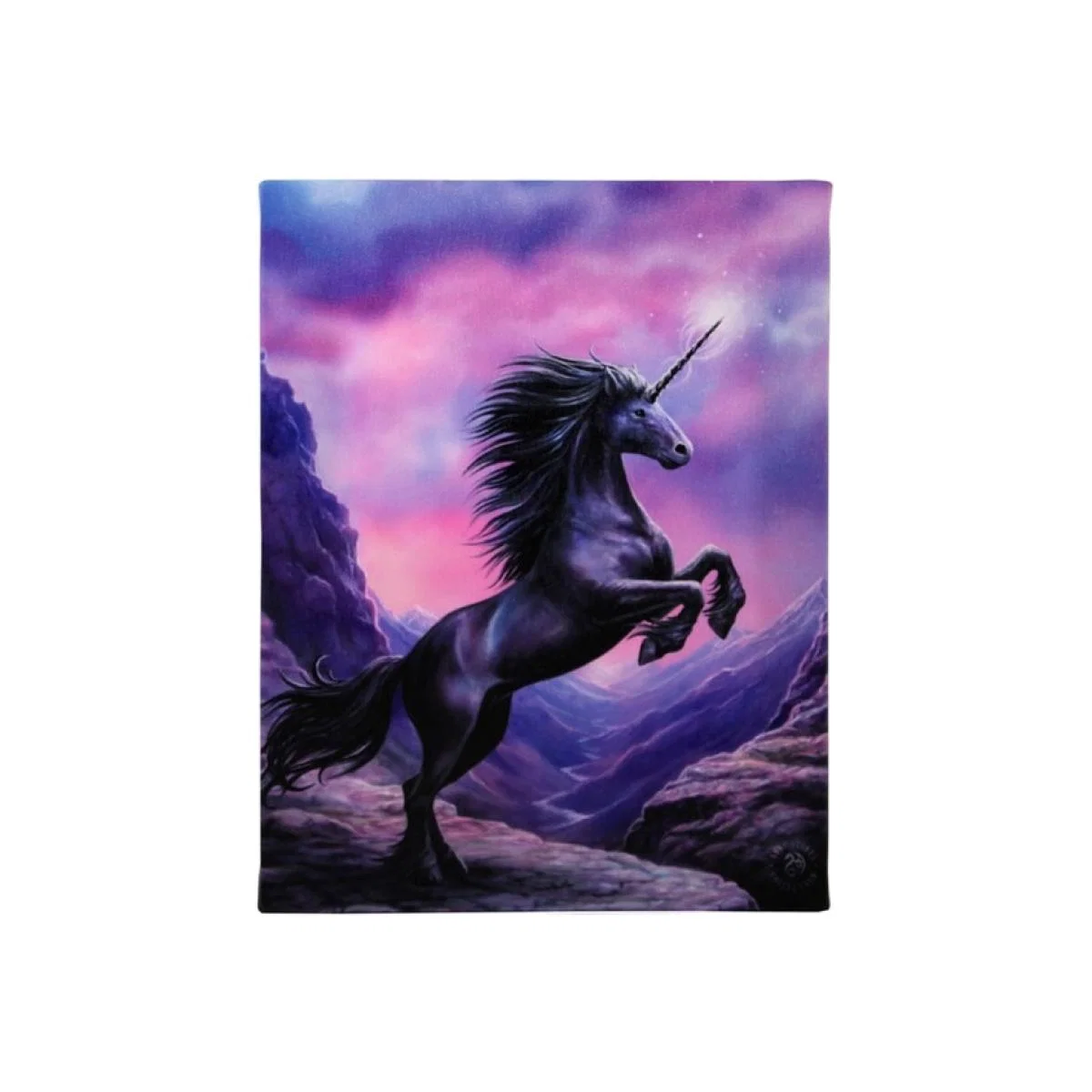 Black Unicorn Canvas Plaque - Mulitcolour