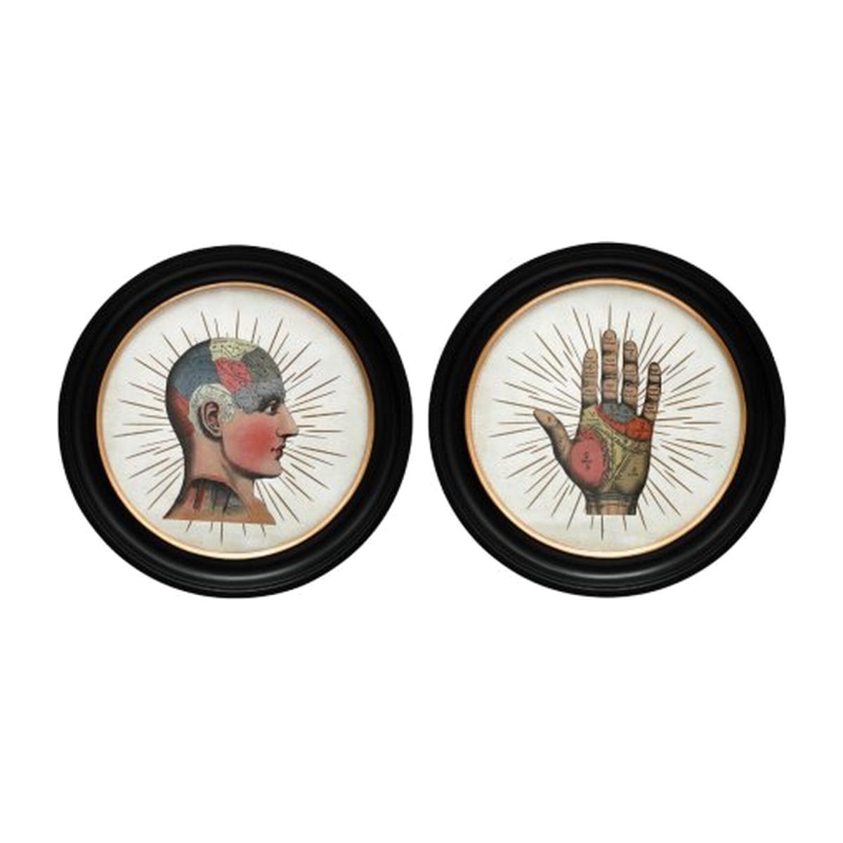 Set Of 2 Phrenology Wall Art - Black
