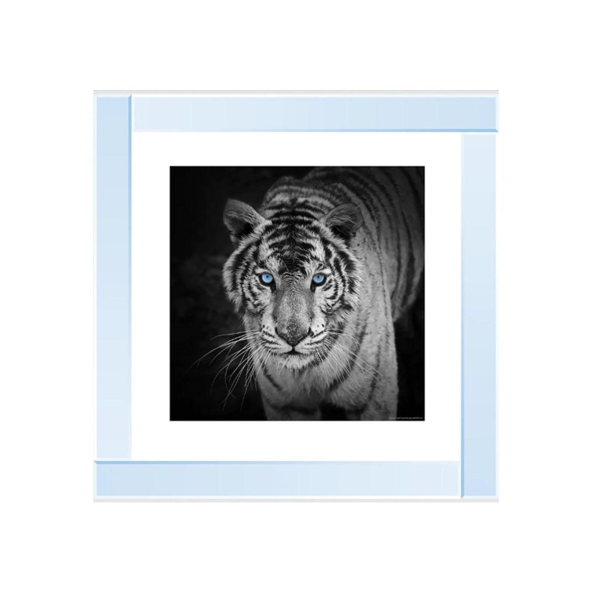 Blue Eyes Tiger Glitter Liquid Wall Art Decor - Silver