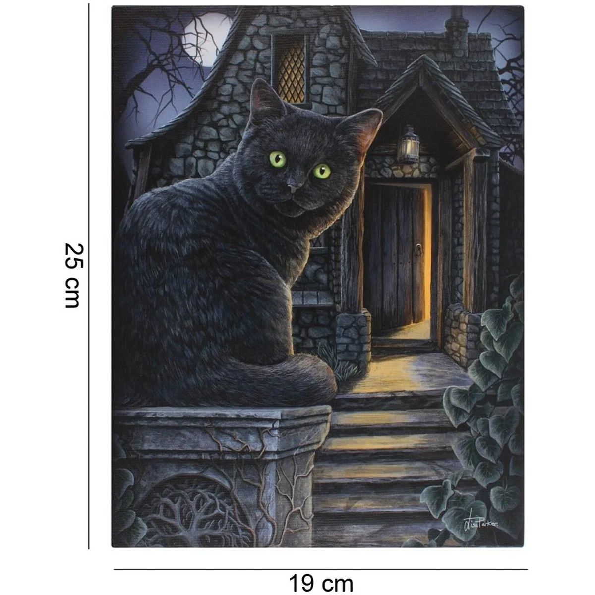 Black Cat Printed Canvas - Black – image 2