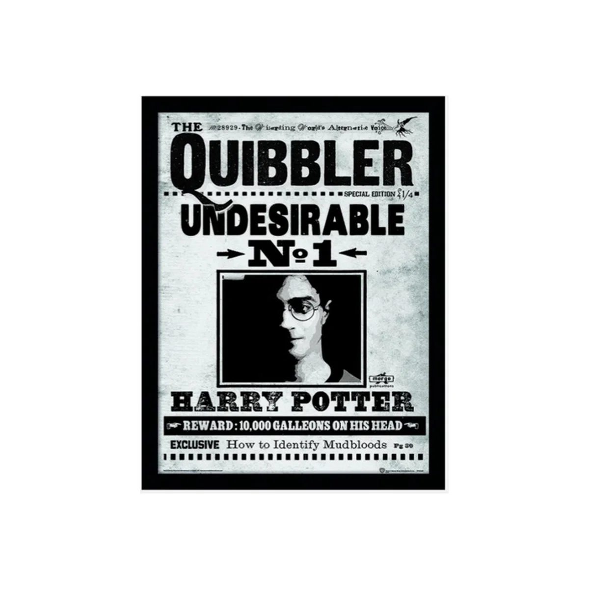 Harry Potter (The Quibbler) Framed Print – image 1