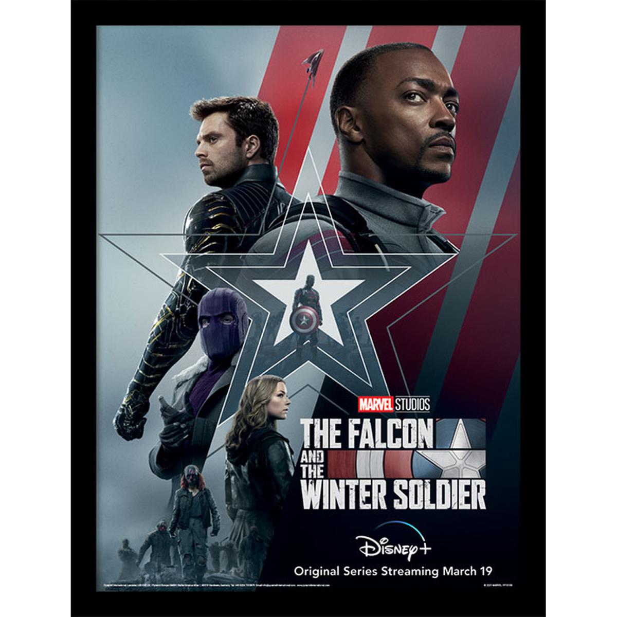The Falcon and the Winter Soldier (Stars And Stripes) Framed Print – image 2
