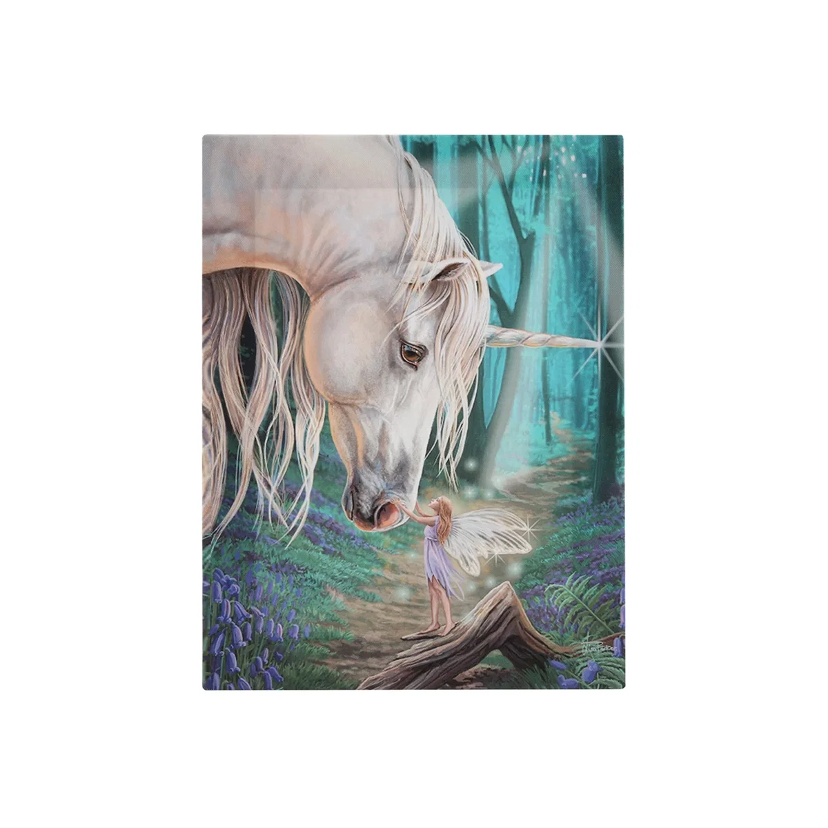 Fairy Whispers Canvas Plaque by Lisa Parker - 19x25cm Unicorn Fairy Art - Teal