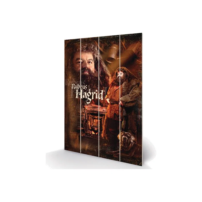 Harry Potter (Hagrid) Wall Art – image 1