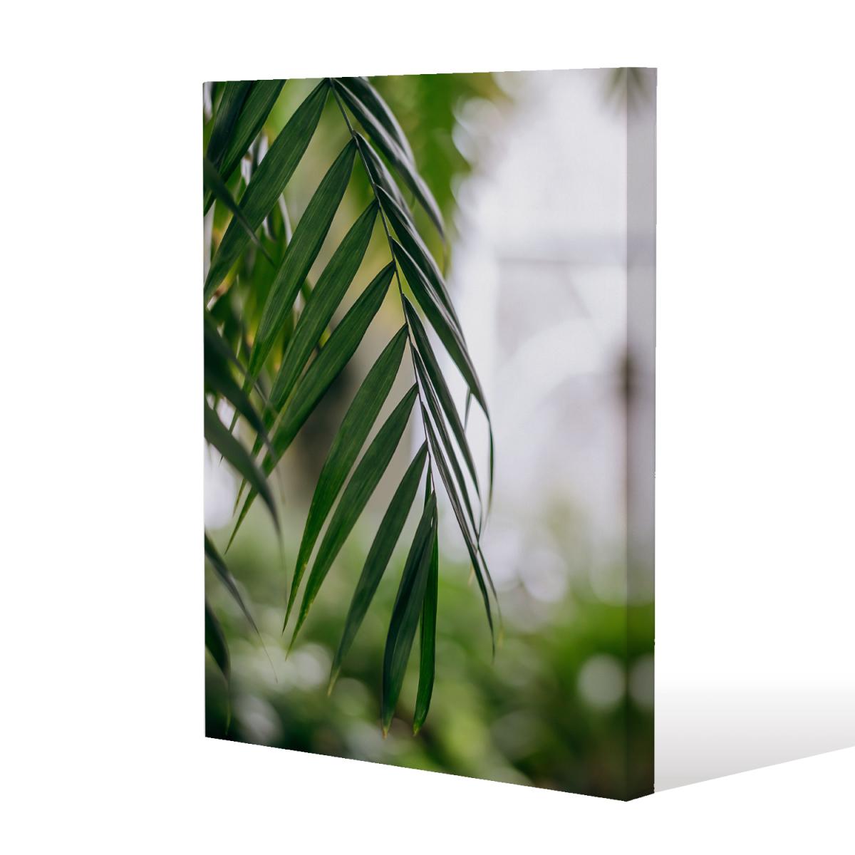 Closeup of green palm leaf Canvas Print - Green / 114cm / 77cm – image 2