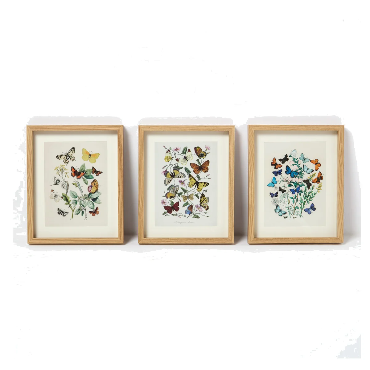 Framed Butterflies Wall Art, 20 x 25cm, Set of 3 – image 1