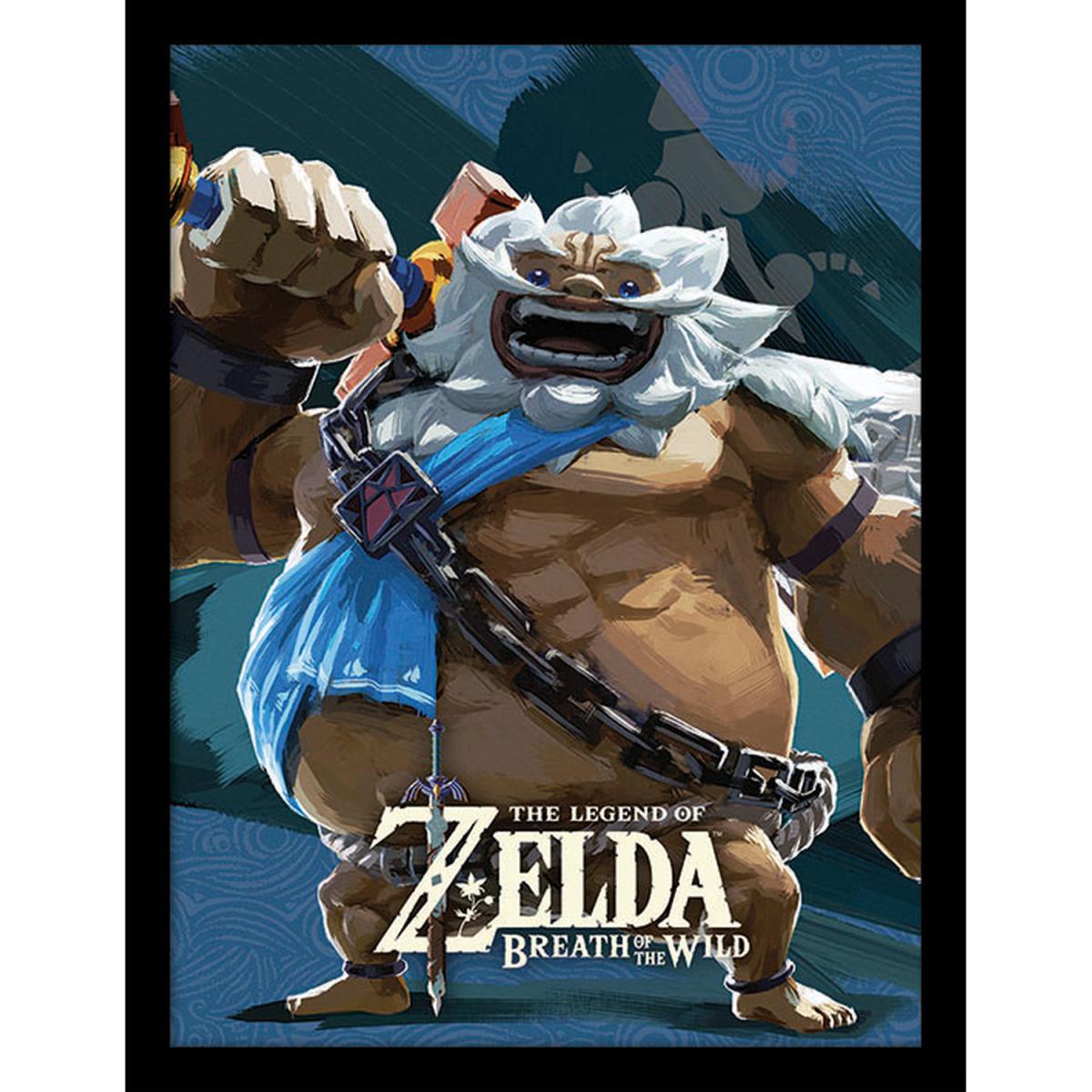 The Legend of Zelda Breath Of The Wild (Daruk) Framed Print – image 2