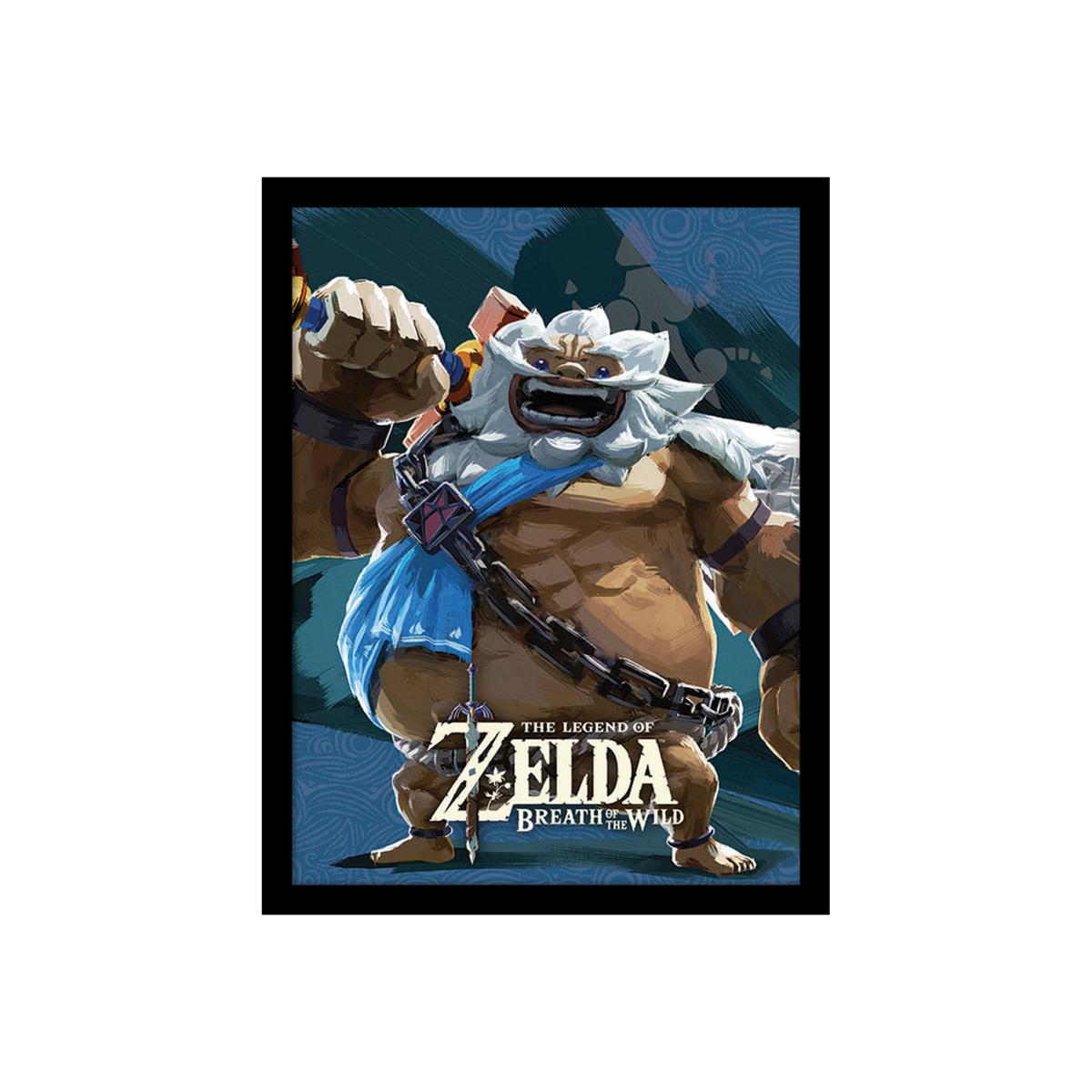 The Legend of Zelda Breath Of The Wild (Daruk) Framed Print – image 1