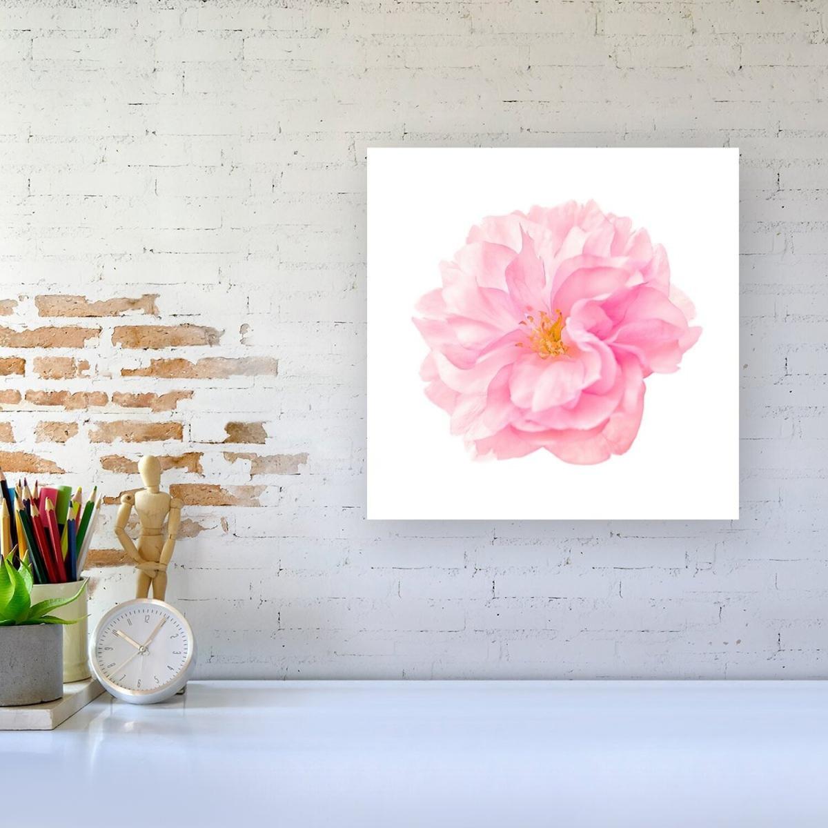 Single Cherry Blossom Canvas Print - Pink / Medium – image 2