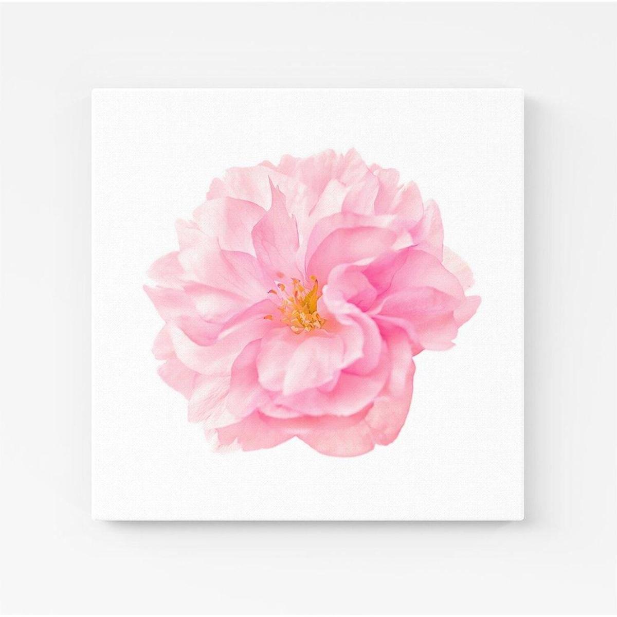 Single Cherry Blossom Canvas Print - Pink / Medium – image 3