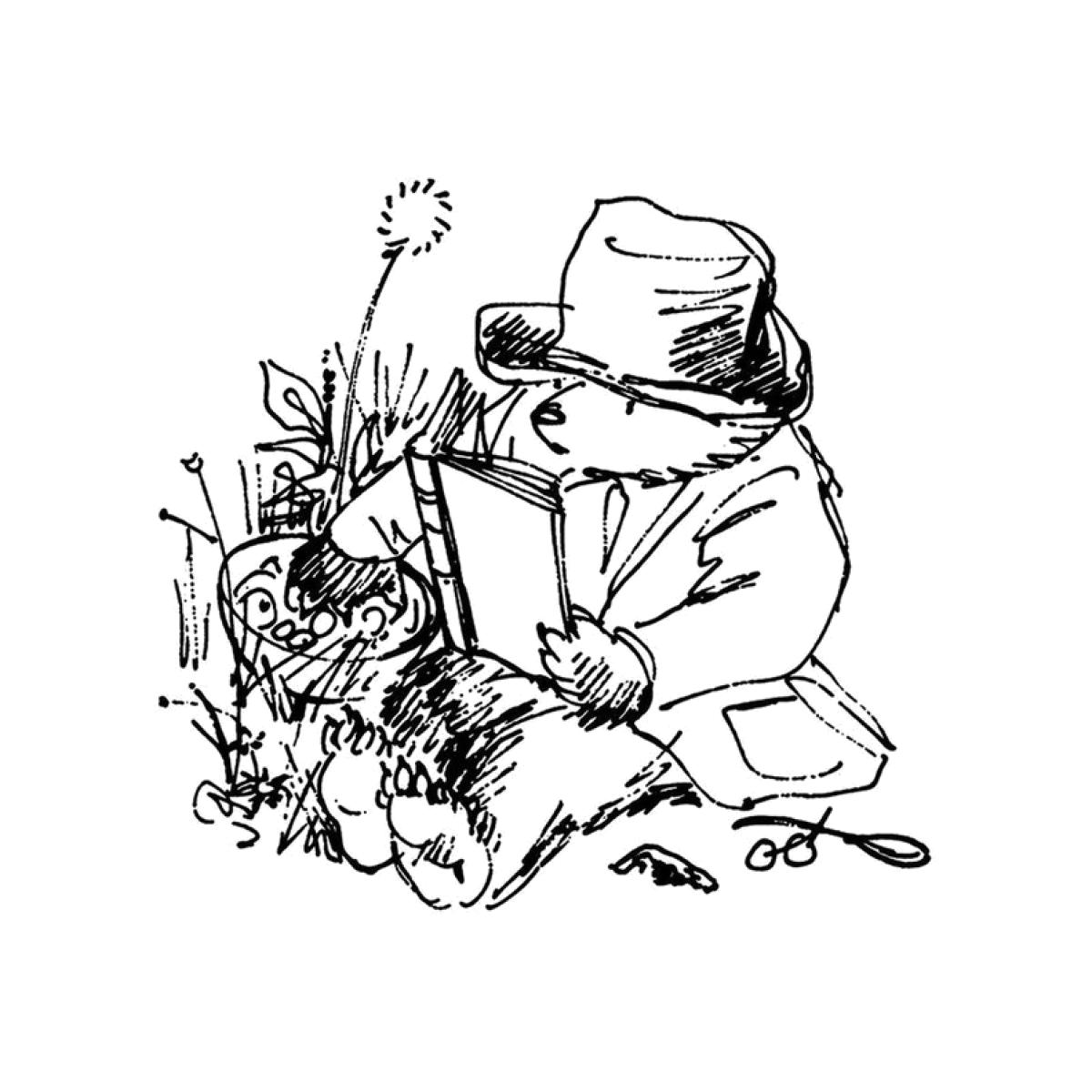 Paddington Bear Sitting Sketch - White