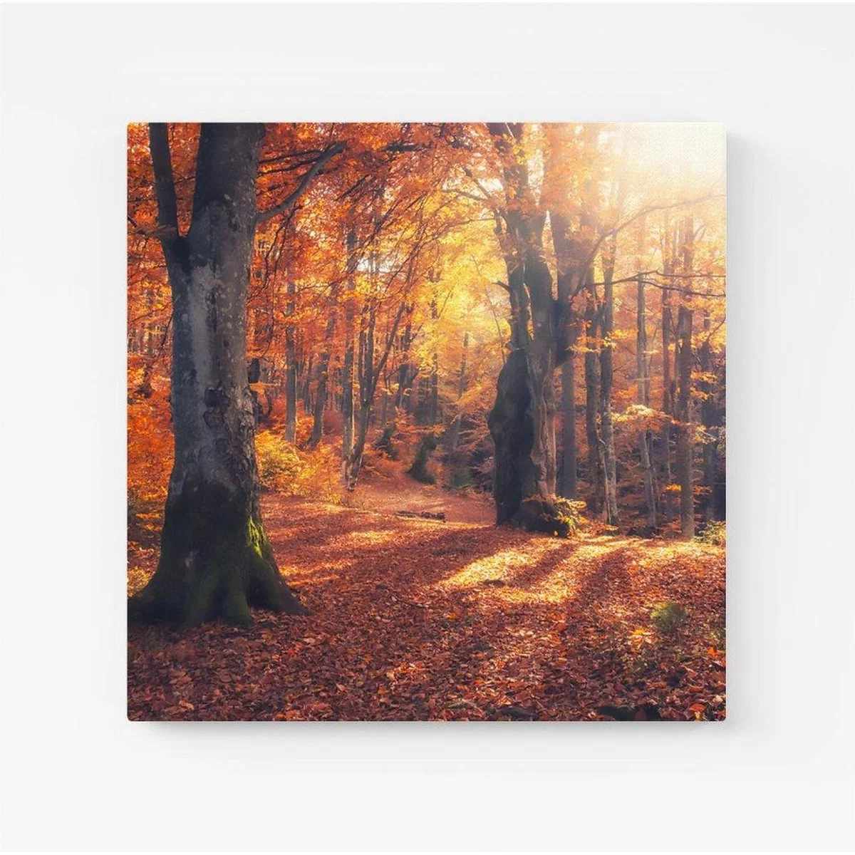 Autumn Forest Canvas Print - Orange / Large – image 2