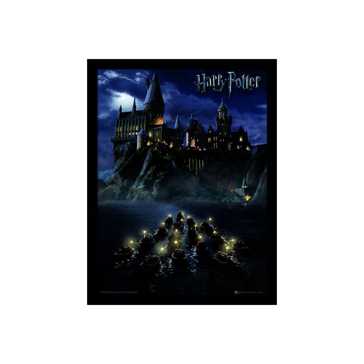 Harry Potter (Hogwarts School) Framed Print – image 1