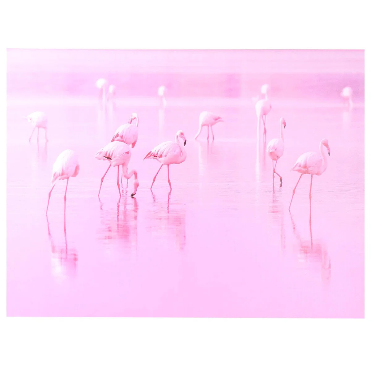 Pink Flamingos Canvas - Pink – image 2