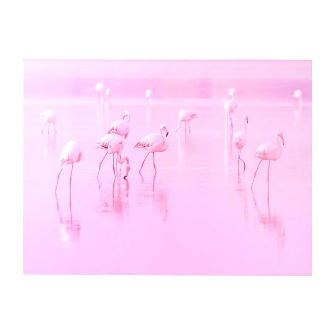 Pink Flamingos Canvas - Pink – image 1