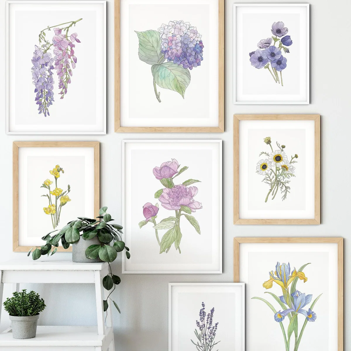 Freesia - The Westgate Collection Print – image 3