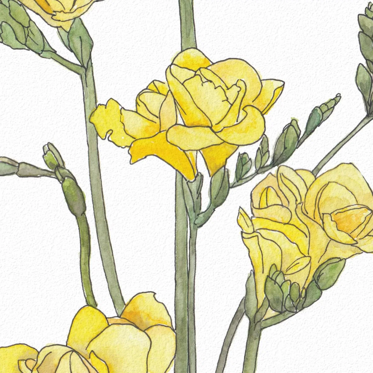 Freesia - The Westgate Collection Print – image 5