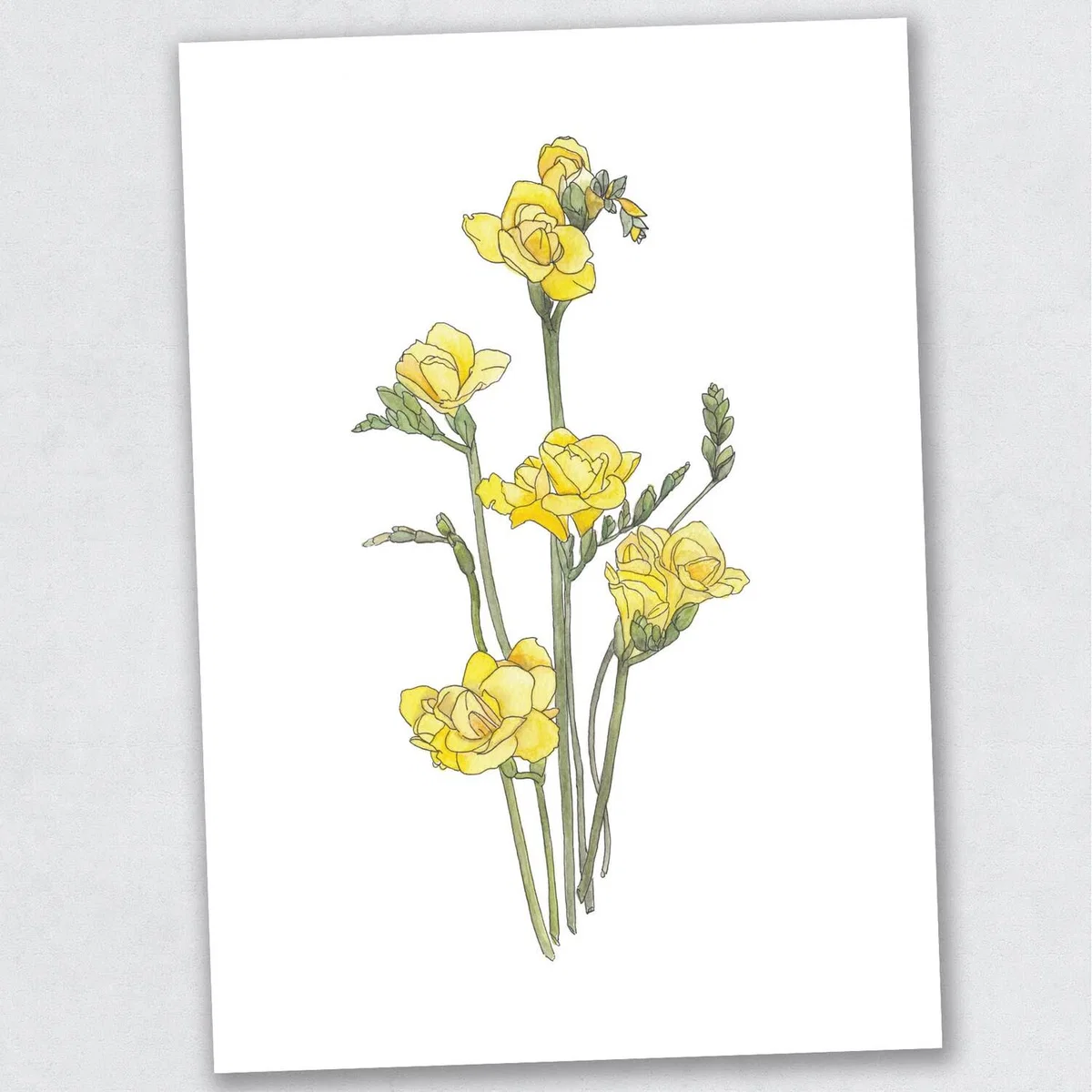 Freesia - The Westgate Collection Print – image 6