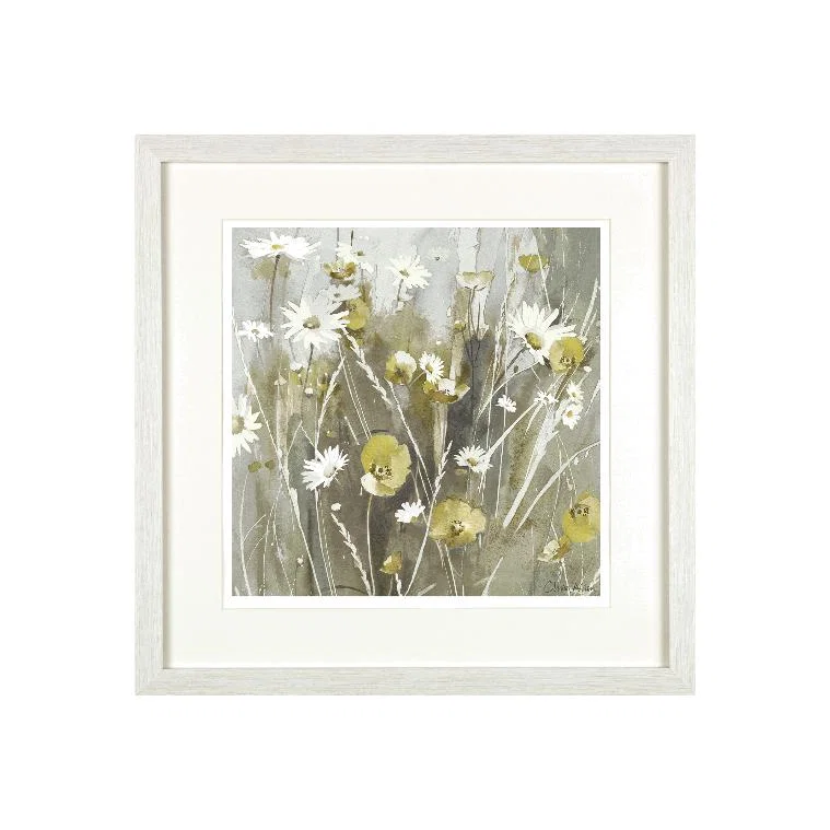 Gathering White Daisies in Frame